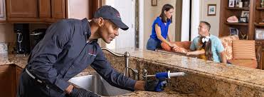 Best Pest Exclusion Services  in St Jaco, IL